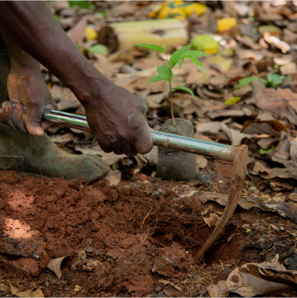 IAP Footer - Hoe In The Ground