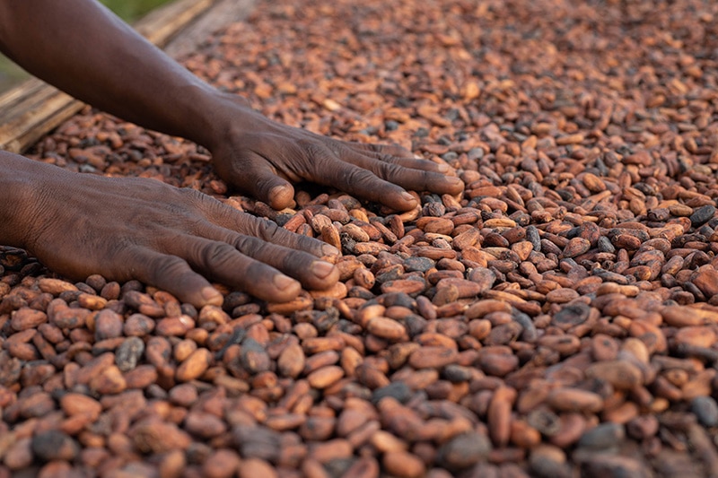 IAP Modal Cocoa - Header Pods On Rack