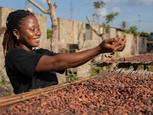 IAP Modal Cocoa - Content Drying Pods